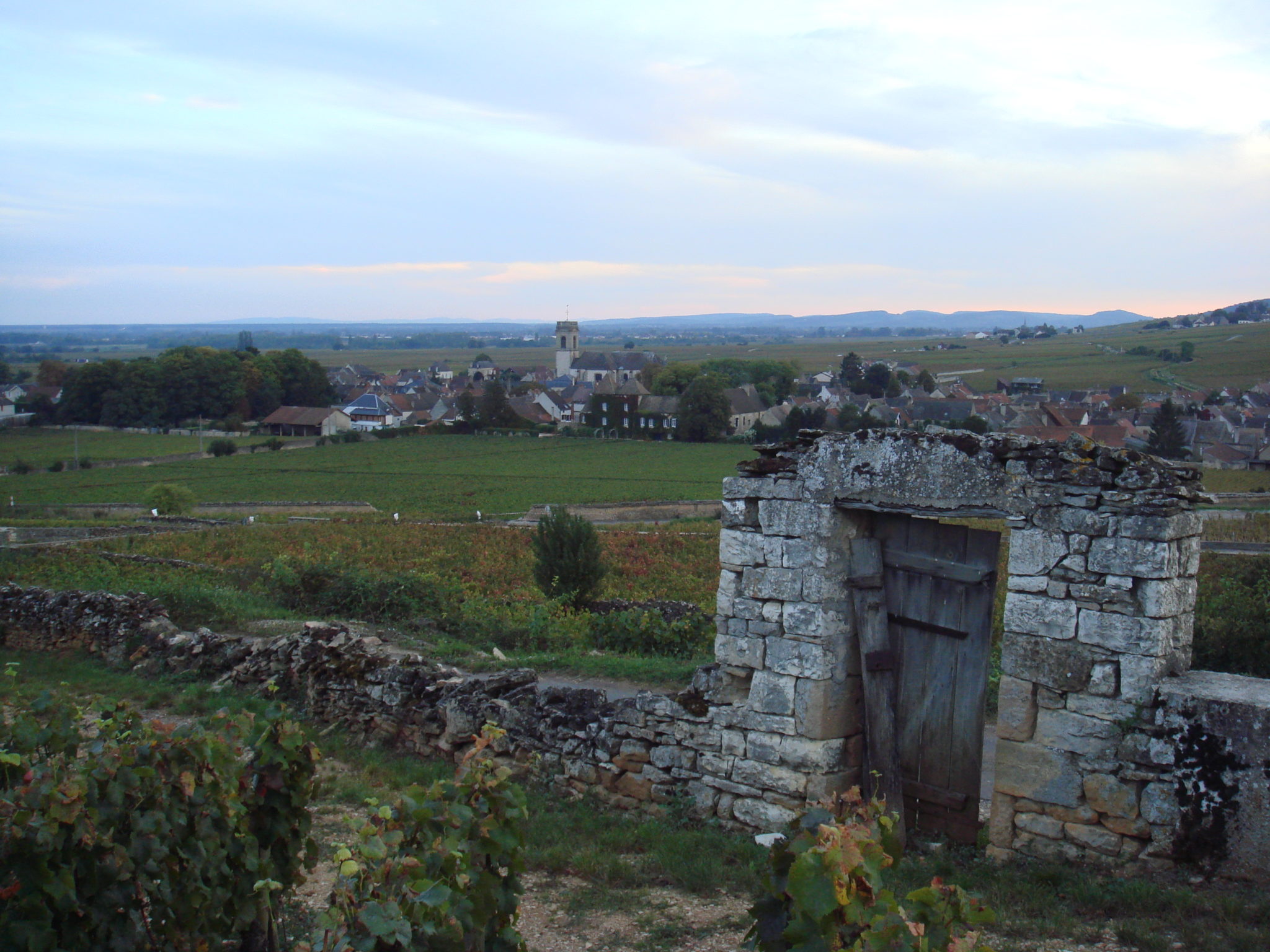 Pommard en attente de l'appellation Grand Cru