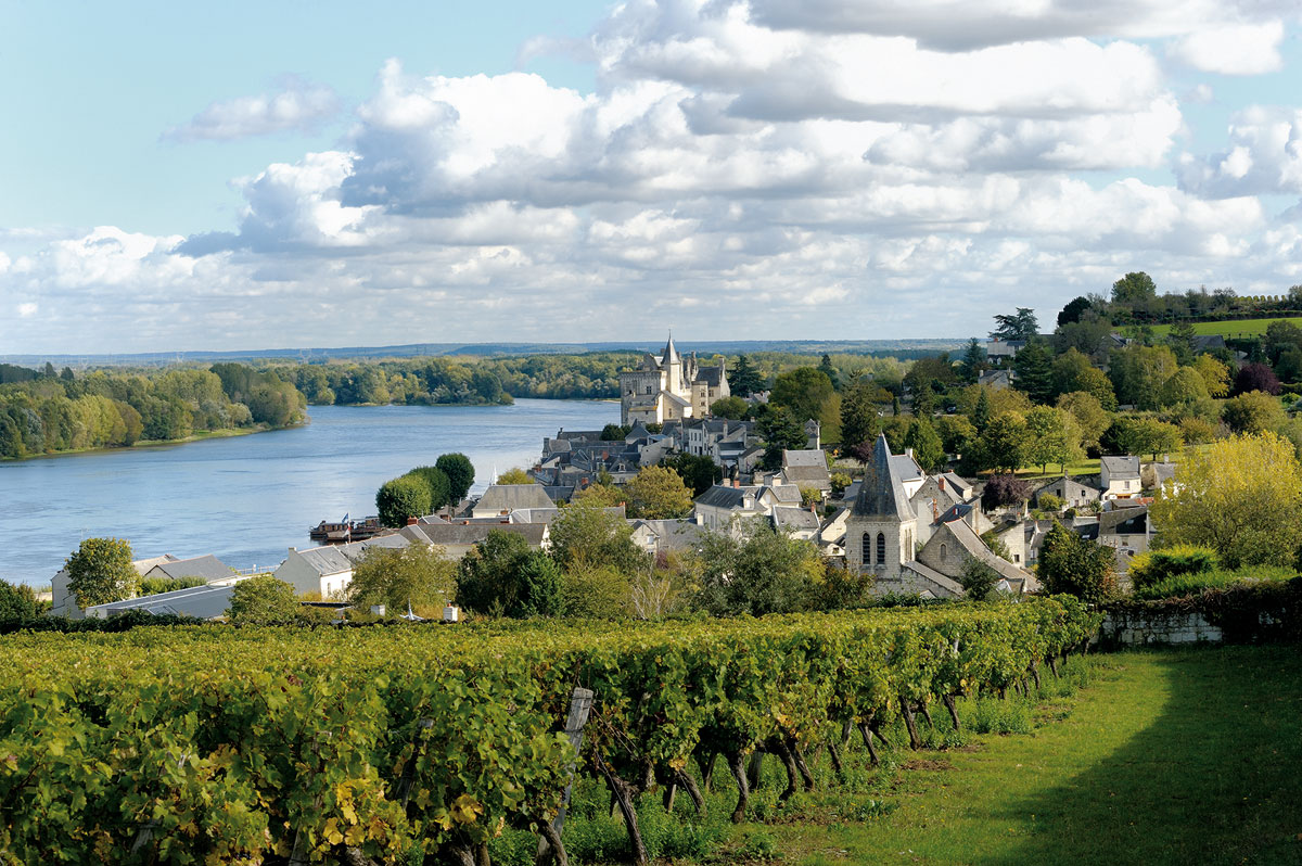 Les vins de Loire : carte, vignobles, guide